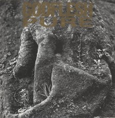 LP / Godflesh / Pure / Vinyl