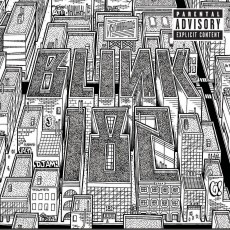 LP / Blink 182 / Neighborhoods / Vinyl