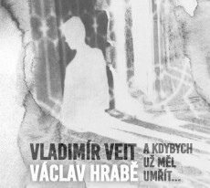 CD / Veit Vladimr / A kdybych u ml umt...