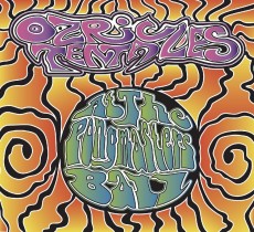 CD/DVD / Ozric Tentacles / At The Pongmasters Ball / CD+DVD