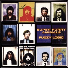 LP / Super Furry Animals / Fuzzy Logic / Vinyl
