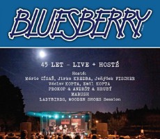 CD / Bluesberry / 45 let:Live+host / Digipack