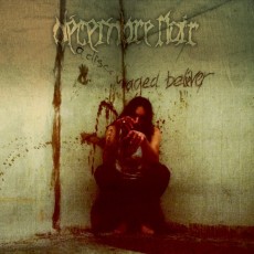 LP / Decembre Noir / Discourged Believer / Vinyl