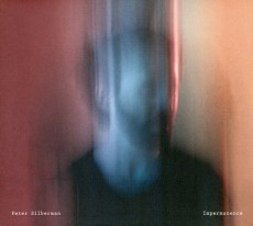 CD / Silberman Peter / Impermanence