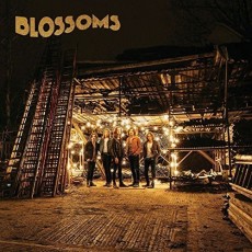 2LP / Blossoms / Blossoms / Vinyl / 2LP