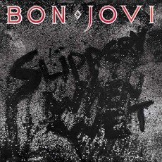 LP / Bon Jovi / Slippery When Wet / Vinyl