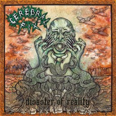 LP / Cerebral Fix / Disaster Of Reality / Vinyl