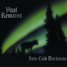 LP / Vital Remains / Into Cold Darkness / Vinyl