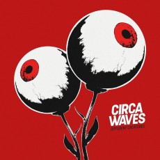 LP / Circa Waves / Different Creatures / Vinyl