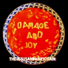 LP / Jesus & Mary Chain / Damage and Joy / Vinyl