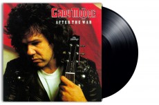 LP / Moore Gary / After The War / Vinyl
