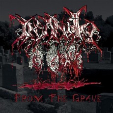 CD / Insanity / From The Grave