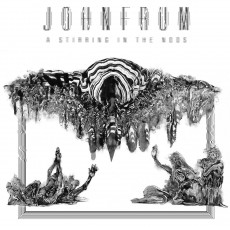 CD / Frum John / Stirring Of The Noos