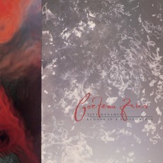 LP / Cocteau Twins / Tiny Dynamite / Echoes In A Shallow Bay / Vinyl