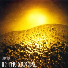 2LP / In The Woods / Omnio / Vinyl / 2LP / Yellow