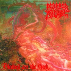 LP / Morbid Angel / Blessed Are The Sick / Remaster / FDR / Vinyl