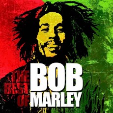 LP / Marley Bob / Best Of Bob Marley / Vinyl
