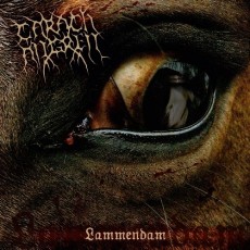 CD / Carach Angren / Lammendam / Reedice