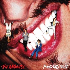 LP / Darkness / Pinewood Smile / Vinyl