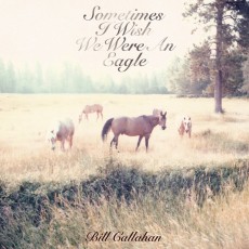 CD / Callahan Bill / Sometimes I Wish We Were
