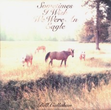 LP / Callahan Bill / Sometimes I Wish We Were / Vinyl