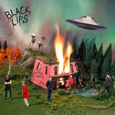 2LP / Black Lips / Satan's Graffiti Or God's Art ? / Vinyl / 2LP