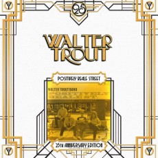 2LP / Trout Walter / Positively Beale Street / Vinyl / 2LP