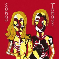 CD / Animal Collective / Sung Tongs