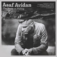 CD / Avidan Asaf / Study On Falling