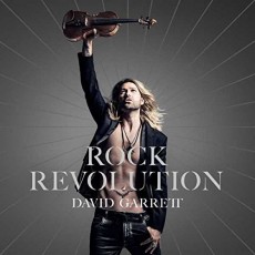 2LP / Garrett David / Rock Revolution / Vinyl / 2LP