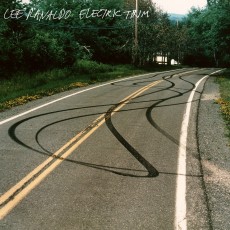 2LP / Ranaldo Lee / Electric Trim / Vinyl / 2LP