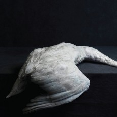 2LP / Amenra / Mass VI / Vinyl / 2LP