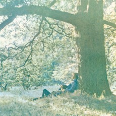 LP / Ono Yoko / Plastic Ono Band / Vinyl / Clear