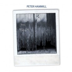 LP / Hammill Peter / From The Trees / Vinyl