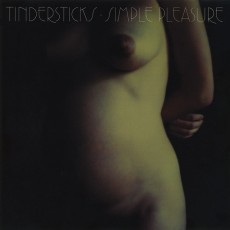 2LP / Tindersticks / Simply Pleasure / Vinyl / 2LP