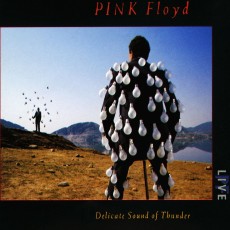 2CD / Pink Floyd / Delicate Sound of Thunder / 2CD