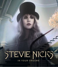 DVD / Nicks Stevie / In Your Dreams