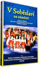DVD / Various / V Sobslavi na nmst