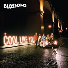 CD / Blossoms / Cool Like You
