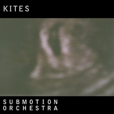LP / Submotion Orchestra / Kites / Vinyl