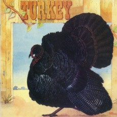 CD / Wild Turkey / Turkey