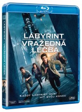 Blu-Ray / Blu-ray film /  Labyrint:Vraedn lba / Blu-Ray