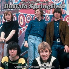 5CD / Buffalo Springfield / Whats The Sound?:Complete Album Box / 5CD