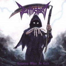 LP / Deathstorm / Reaping What Is Left / Vinyl