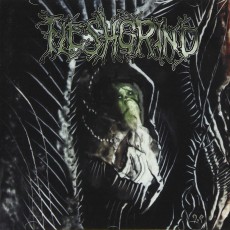 CD / Fleshgrind / The Seeds Of Abysmal Torment