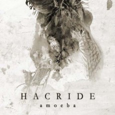 CD / Hacride / Amoeba