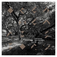 LP / Howard Luke / Open Heart Story / Vinyl