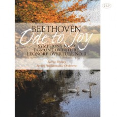 2LP / Beethoven / Symphony No.9 / Egmont Overture / Vinyl / 2LP