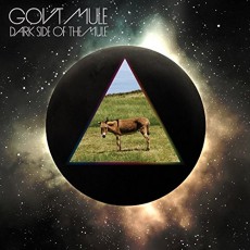 2LP / Gov't Mule / Dark Side Of The Mule / Vinyl / 2LP / Coloured