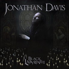 2LP / Davis Jonathan / Black Labyrinth / vinyl / 2LP